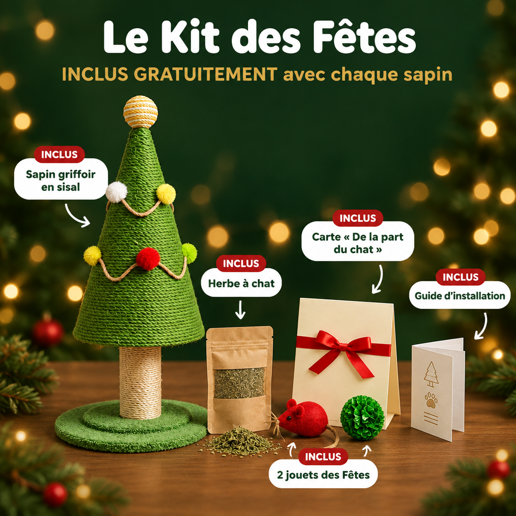 Le Kit des Fêtes inclus gratuitement avec chaque sapin #fr