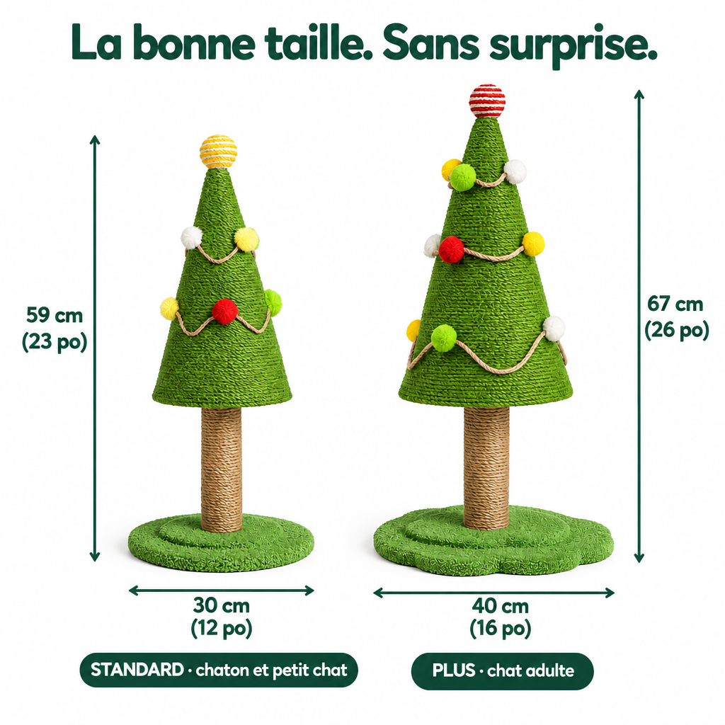Dimensions du Standard et du PLUS #fr