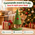 Commande avant le 9 décembre pour Noël #fr