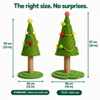 Standard and PLUS dimensions #en
